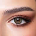 Bella Oneday Pine | Color Contact Lenses | Plain & Power ±0.00 to -4.00 | Bella Contact Lenses. 