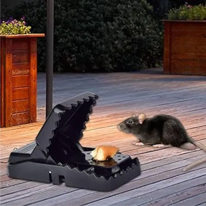 Mouse%20Trap%20Kiriki%20with%20Stainless%20Steel%20Springs%20%7C%20Best%20Quality%20Plastic%20Reusable%20Convenient%20Effective%20Black%20Stainless-Steel%20Springs%20Rat%20Killer%20-%20Image%203