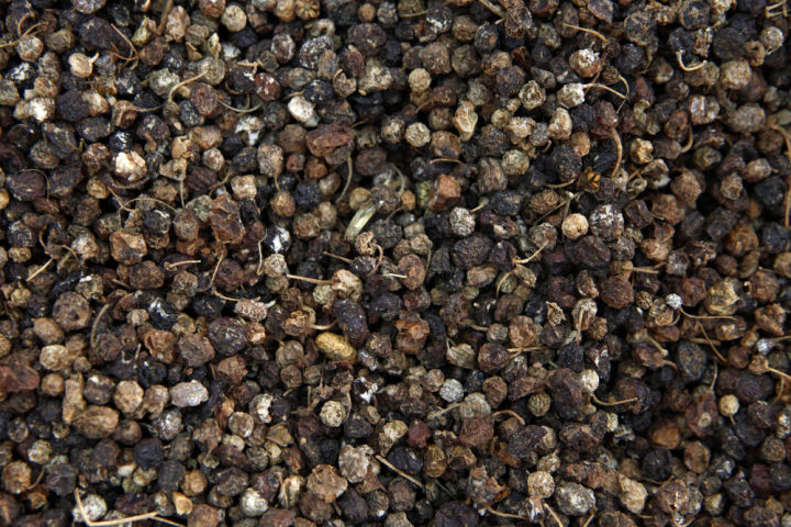 Mako%20Dana%20100g%20%7C%20Natural%20Psyllium%20Husk%20Seeds%20%7C%20Digestive%20Health%20&%20Weight%20Management%20%7C%20Relieves%20Constipation%20Naturally%20%7C%20Rich%20in%20Dietary%20Fiber%20for%20Cleansing%20-%20Image%203