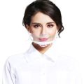 Personal Hygiene Plastic Clear Face Mask for Public Dealing. 