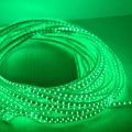 Green Flexible Rope Led Strip Light Water Proof with Adapter - Multiple Sizes LED Rope Light for Indoor and Outdoor Use Long Life Bulb Rope Light. 