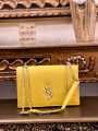 Premium PU Leather Mini Crossbody Bag for Women with Gold Chain. 