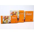 Acrylic Paint Pack of 24 Colours - Best Quality - M and G. 