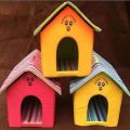 IMPORTED Beautiful CAT & PUPPY House - Large ( Random Colour ). 