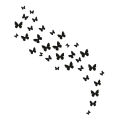 "30 Piece 3D Wooden Butterfly Set for Wall Decoration". 