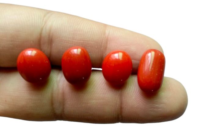 Marjan%20Stone%20&%20Rings%20%20100%25%20orignal%20Red%20Marjan%20Stone%20&%20Ring%20/Red%20Coral%20Stone/Coral%20Gemstone%20/Red%20Stone%20/Red%20Gemstone%20/red%20Marjan%20/Marjan%20stone%20/Marjan%20gemstone/red%20coral%20Gemstone%20/coral%20stone/Coral%20Gemstone.%20-%20Image%202