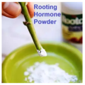 Rooting Hormone Powder For Plants Clone (A.A GARDEN ENTERPRISE). 