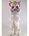 Intelligent Talking Tom Cat. 