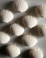 Mini Seashell Scented Candle Set of 2 Coastal Decor Home Fragrance. 