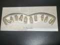 Artificial Nails Wedding Nails For Bride And Girls. 