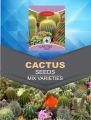 Qty 20+ Seeds Cactus Species Real Mix Rare Exotic Cacti Cactus Plant. 
