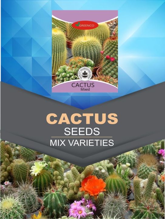 Qty%2020+%20Seeds%20Cactus%20Species%20Real%20Mix%20Rare%20Exotic%20Cacti%20Cactus%20Plant%20-%20Image%202