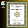 The Meaning of the Holy Qur'an In Today's English By Yahiya Emerick. 