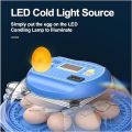 8 Eggs Intelligent Round Full Automatic Incubator Dual Supply AC-DC. 