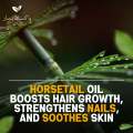 Pakistan Pansar Horsetail Oil for Hair Growth, Dandruff Control, Nail Strengthening, Skin Nourishment 30 to 250 ML. 