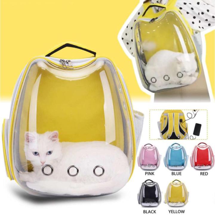 transparent carring beg for kitten and cat