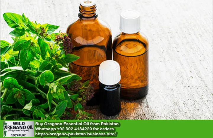 Oregano%20Essential%20Oil%20Pakistan%20-%20Image%206