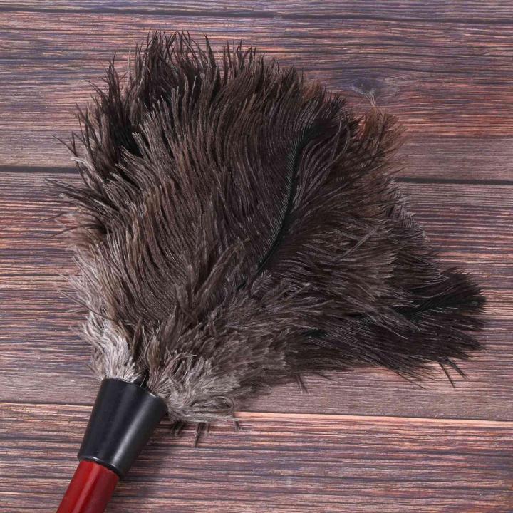 2X Ostrich Cleaning Feather Duster Ostrich Duster Ostrich Feather Duster Soft Feathers Duster