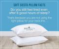 Soft Siesta Down Alternative Sleeping Pillow Amazon Product (Pack of 2). 