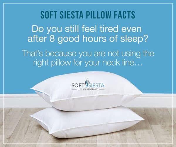 Soft Siesta Down Alternative Sleeping Pillow Amazon Product (Pack of 2)