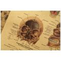 The Head Skull Diagram Vintage Medical Poster Decoration Posters Stickers Home Decor Wall Art Kraft Paper Wall Sticker. 
