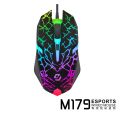 M179 Wired Gaming Mouse with RGB Lighting, 3 DPI 800 /1000/ 1200 Adjustable, for Laptop/Notebook HP Devices. 