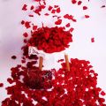100 pieces of rose petals wedding flower decoration. 