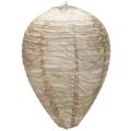 4PCS Wasp Nest,Decoy Hang  Wasp Nest Paper Decoy Safe  Trap Effective Eco Friendly Paper Wasp Nest for Garden. 