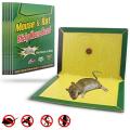 Just Original Pack of 5 piece Reusable Expert Catch Rat and Mouse Glue Trap Catcher Sticky Board, Insects / Lizard / Cockroach / Spider / Rodent Snake - Green. 