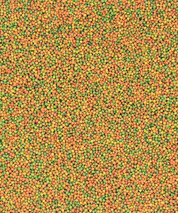 NutriBird%20B-18%20Breeding%20Food%20for%20Budgies%20&%20Small%20Parakeets%20-%20Breeding%20food%20for%20budgies%20and%20other%20small%20Parakeets%20%20(VerseleLaga%20Belgium)%20-%20Image%203