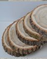 Natural Wood Slices (12 Pcs, 3–5 Inches) – Rustic DIY Craft Kit for Wedding Decor, Art Projects & Ornaments. 