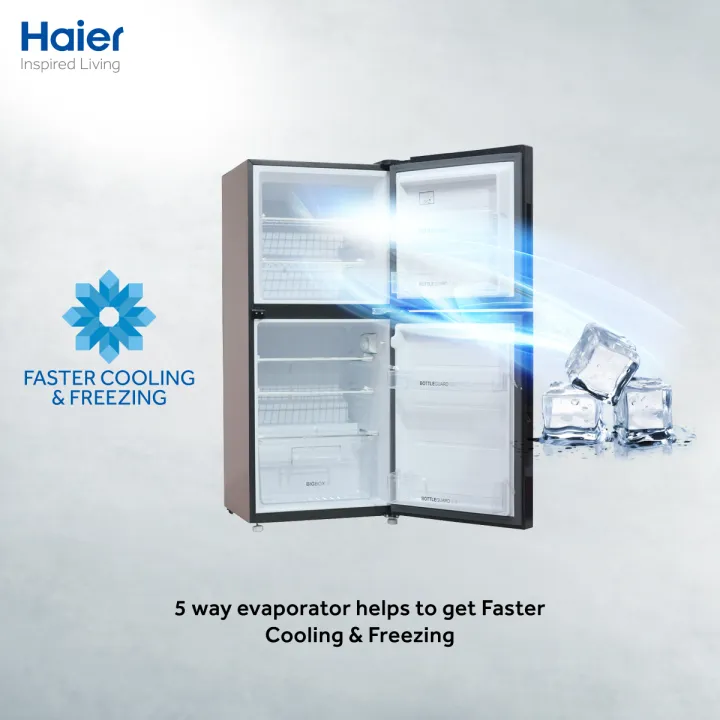 Haier%206.5%20Cu%20Ftc%20/%20E-Star%20Series%20/%20HRF-186%20EBD%20(Deepest%20Freeze%20+%20Direct%20Cool%20+%201%20Hour%20Icing%20Technology%20+%20Metal%20Door)%20Golden%20Colour%20/%20Refrigerator%20/%2010%20Years%20Brand%20Warranty.%20-%20Image%205