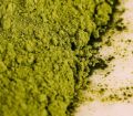 Moringa Leaf Powder Organic 150 Gram 100% Natural Moringa Powder Moringa Leaf Powder Organic 150 Gram 100% Natural Moringa Powder. 