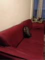 Stretchable Sofa Covers for 5 seater Sofa (3+1+1) DUST Proof Fabric, Fitted Sofa Cover. 