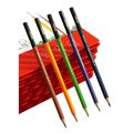 Water Color Pencils Tin Packing with Free Brush For Artists and Beginners 24 pcs. 