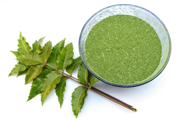Organic%20Neem%20leaf%20powder%20200gm%20%20%20%20Organic%20Neem%20leaf%20powder%20200gm%20%20%20%20%20Organic%20Neem%20leaf%20powder%20200gm%20-%20Image%203