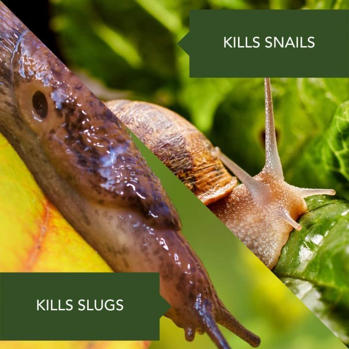 Garden%20Safe%20Slug%20And%20Snail%20Bait%20400%20grams%20pack%20(Best%20Quality)%20-%20Image%206
