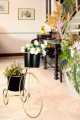 Planters - Planters Pot - Planters Pots flower stand - Metal Plant Flower Floor Stand- Modren Planters Flower Pots - Planters Shape of Cycle. 