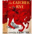 The Catcher in the Rye by J D Salinger. 