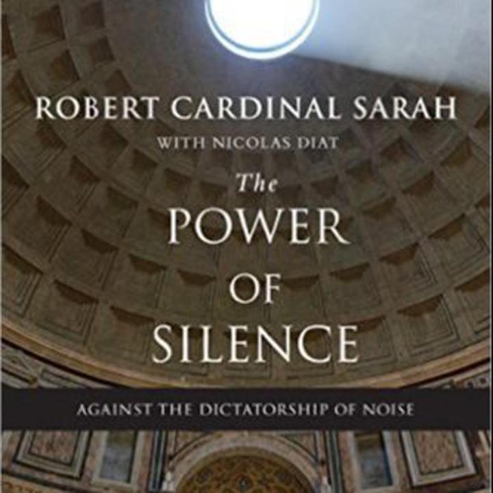 The Power of Silence: Against the Dictatorship of Noise (Paperback)