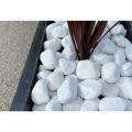 White big Pebbles/ Stones for Garden and Aquarium  1 kg pack. 