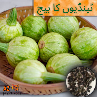 Apple Gourd/Round Gourd Seeds  (Tindion Ke Beej)(ٹینڈیوں کا بیج)Hybrid/Germinated/Best Quality/Fast growing/Excellent Germination/High Quality/Healthy Vegetable Seeds/Vegetable/Home/Kitchen/Gardening seeds/beej/Vegetables Seeds Packet