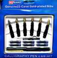 Calligraphy Ink Pen Set (4 NIB and 6 Nib Set). 