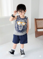 Lion T-shirt and shorts For Kids Summer. 
