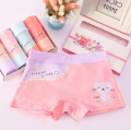 Flourish Undergarments Pack of 3  Printed Comfortable and Fashionable Boxer And Underwear For Kids And Girls. 