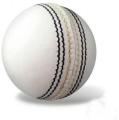Indoor Rubber Cricket Ball - White - 70gm. 