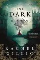 One Dark Window  by Rachel Gillig. 