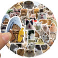 50 Pieces of Internet Red Cat Emoji Pack Graffiti Stickers Can Be Decorated Luggage Pen Guitar Notepad Waterproof Wholesale. 
