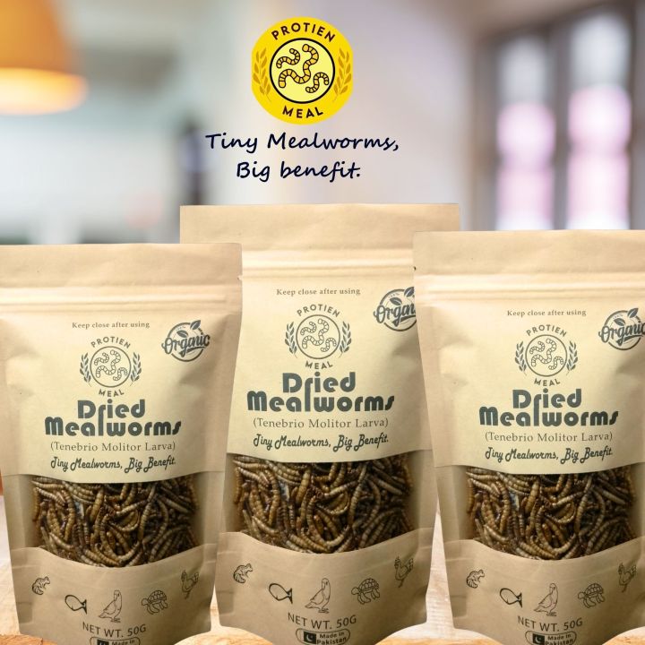50g%20Dry%20Mealworms%20%7C%20Premium%20Quality%20Organic%20dried%20mealworms%20%7C%20Pet%20food%20%7C%20Rich%20source%20of%20Protein%20for%20Fishes,%20Birds,%20Chickens,%20Reptiles%20like%20Tortoise%20&%20Turtle%20and%20other%20small%20pets%20-%20Image%202