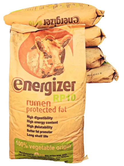 Bypass%20Fat%20RP10%201kg%20(Ghazi%20Brother's)%20-%20Image%202